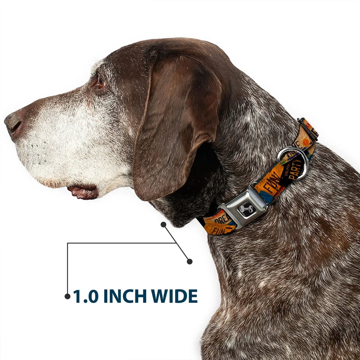 Dog Bone Seatbelt Buckle Collar - Cali License Plates Stacked Vintage - Buckle-Down - Flyclothing LLC