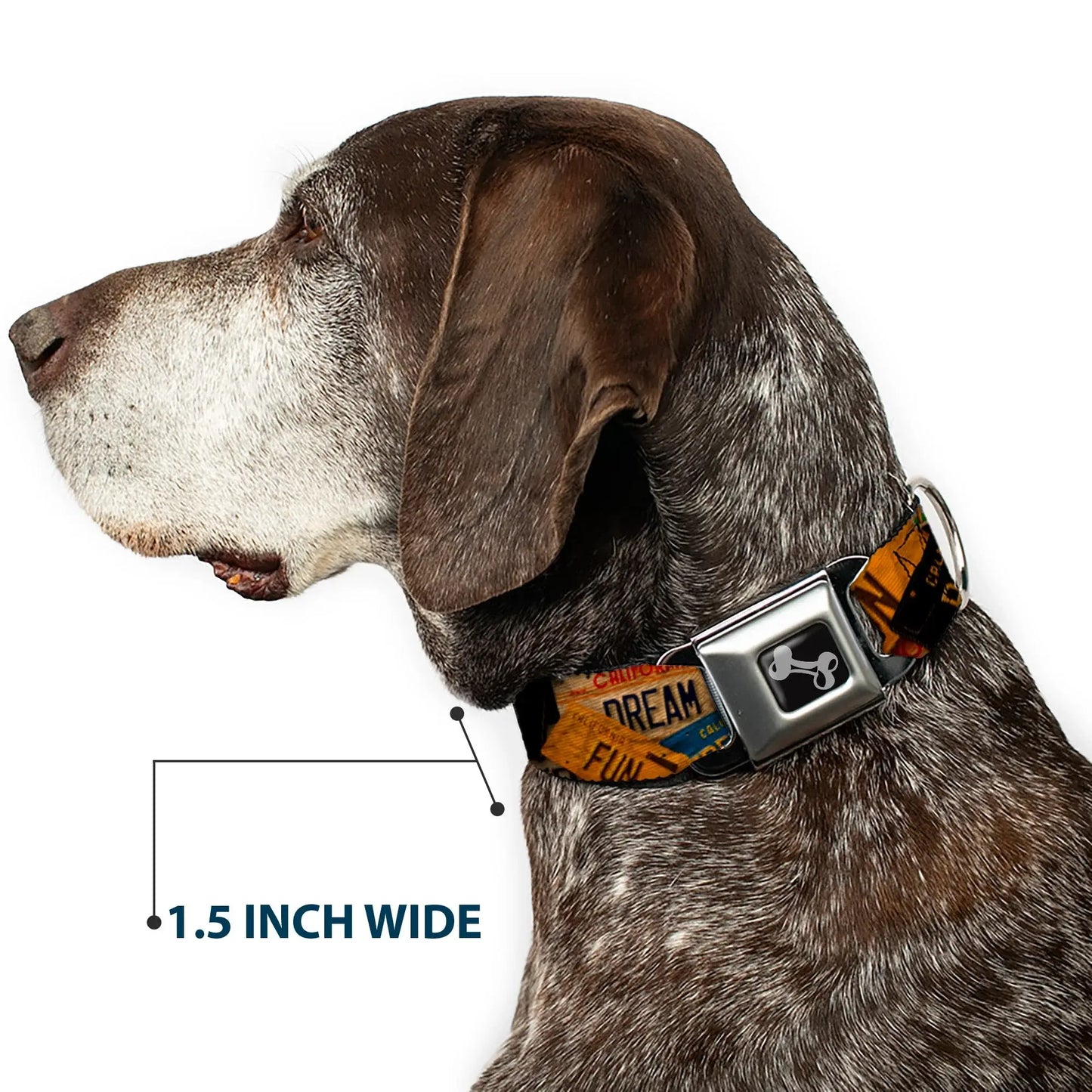 Dog Bone Seatbelt Buckle Collar - Cali License Plates Stacked Vintage - Buckle-Down - Flyclothing LLC