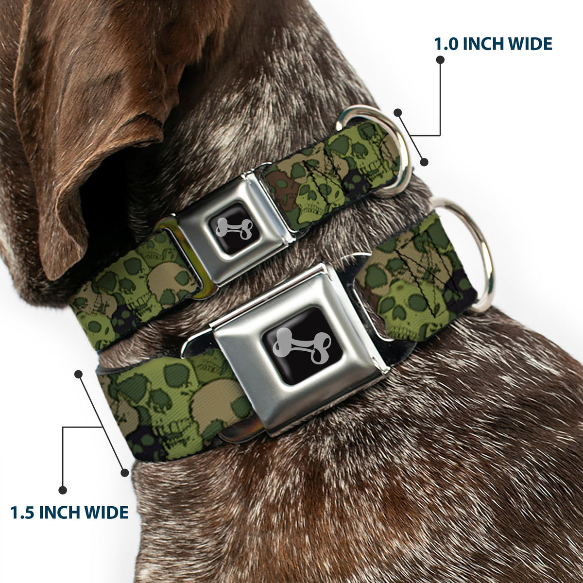 Dog Bone Seatbelt Buckle Collar - Camo Olive Skull Yard - Buckle-Down - Flyclothing LLC