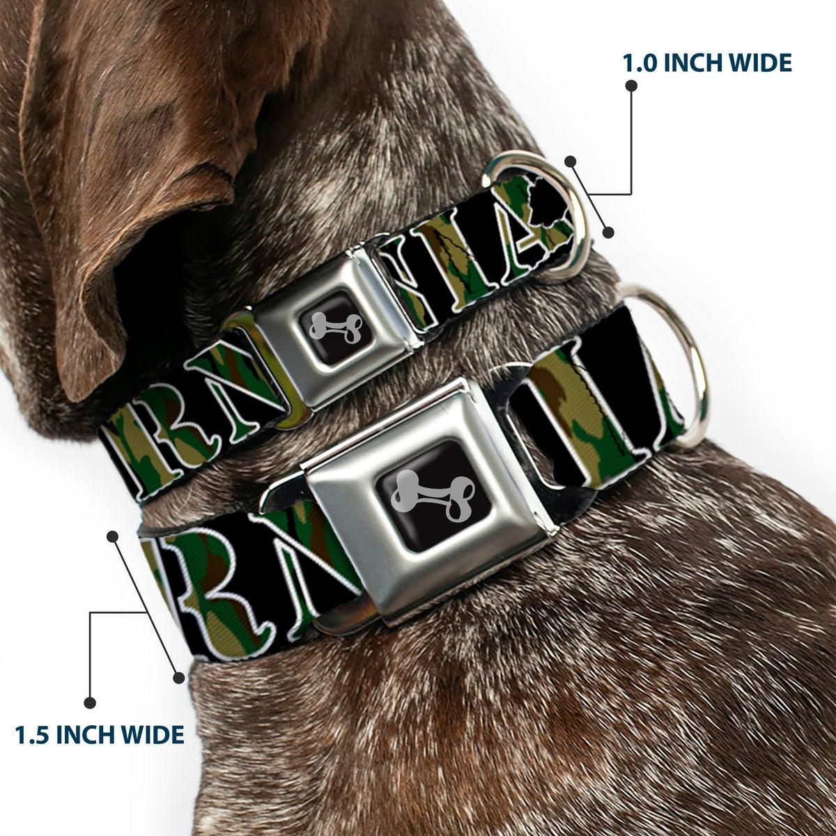 Dog Bone Seatbelt Buckle Collar - CALIFORNIA/Bear Silhouette Black/Camo Olive - Buckle-Down - Flyclothing LLC