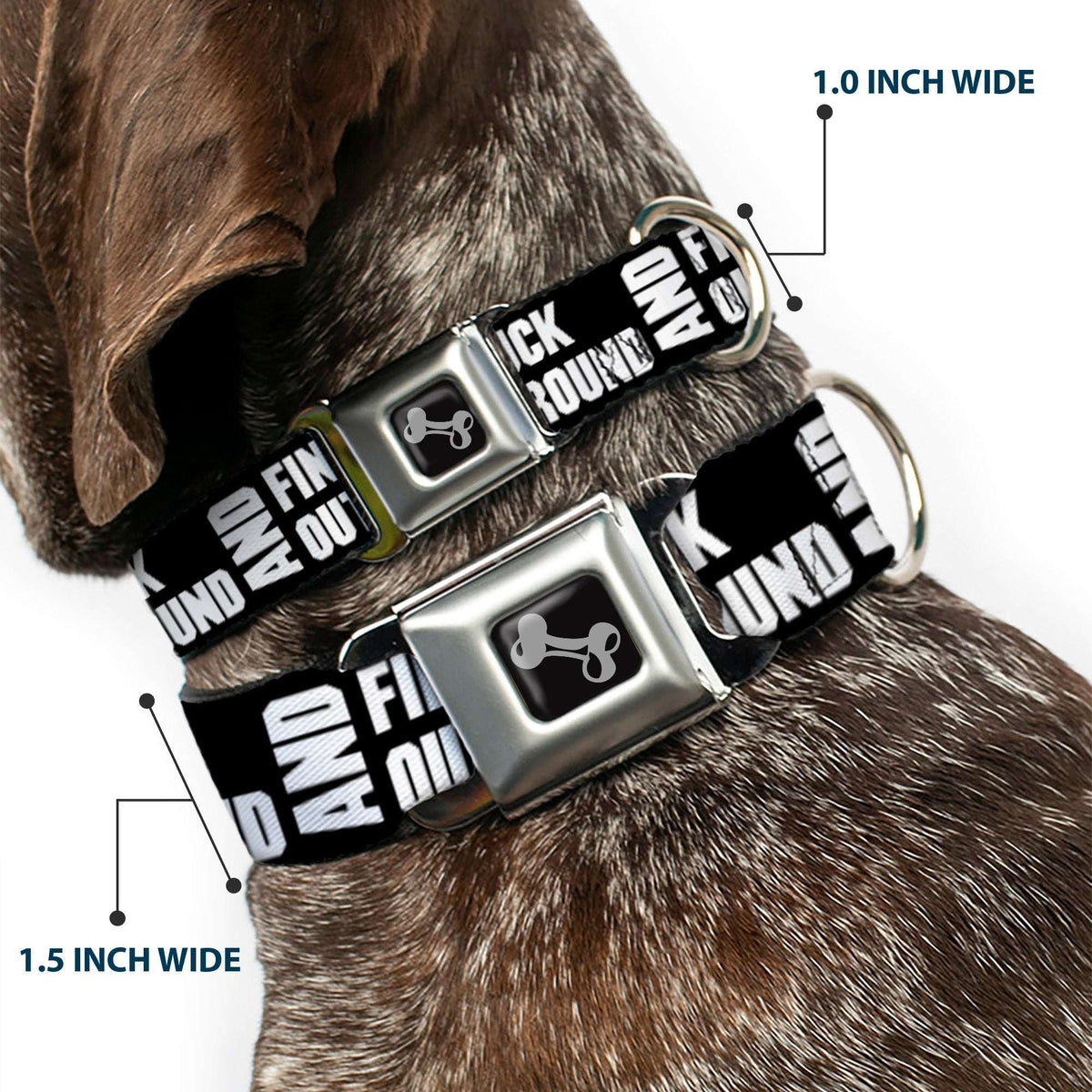 Dog Bone Black/Silver Seatbelt Buckle Collar - FAFO FUCK AROUND AND FIND OUT Bold Black/White