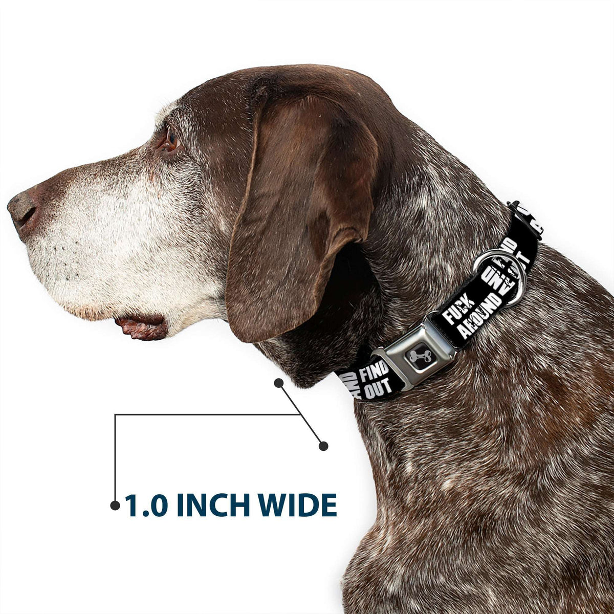 Dog Bone Black/Silver Seatbelt Buckle Collar - FAFO FUCK AROUND AND FIND OUT Bold Black/White