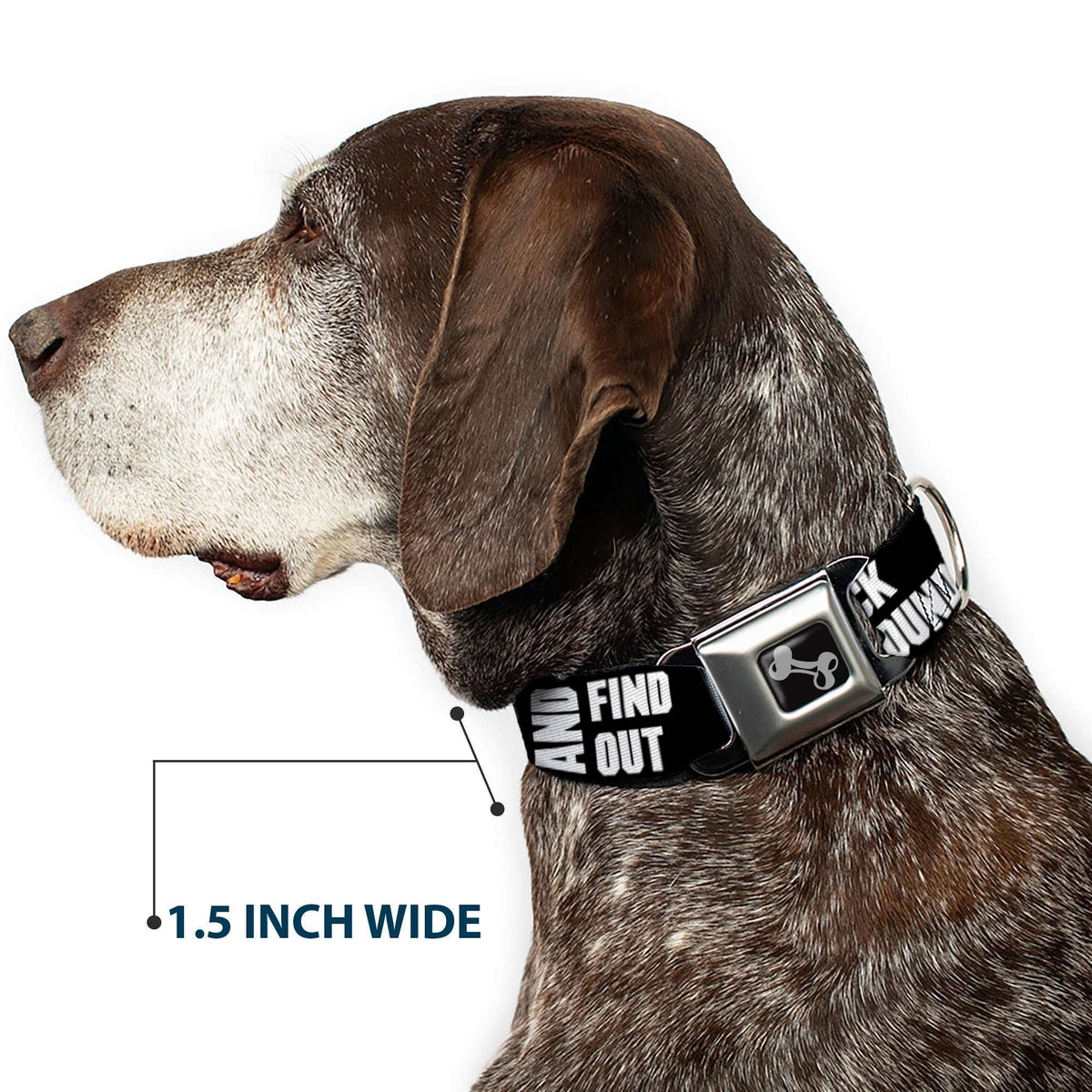 Dog Bone Black/Silver Seatbelt Buckle Collar - FAFO FUCK AROUND AND FIND OUT Bold Black/White