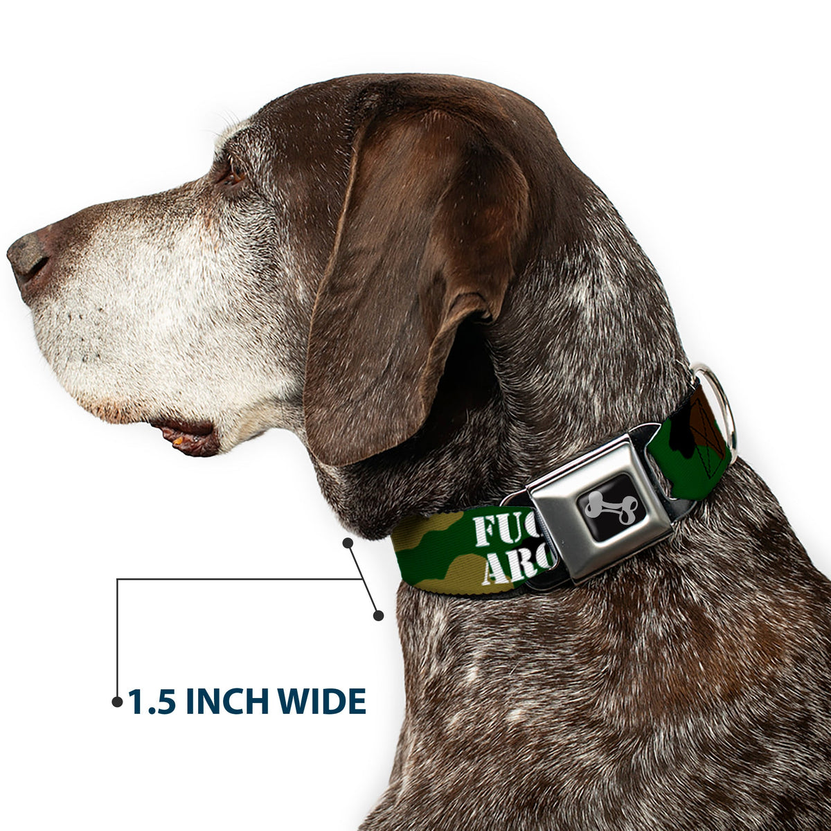 Dog Bone Black/Silver Seatbelt Buckle Collar - FAFO FUCK AROUND & FIND OUT Stencil Camo/White - Buckle-Down - Flyclothing LLC