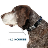 Dog Bone Black/Silver Seatbelt Buckle Collar - FAFO FUCK AROUND AND FIND OUT Thin Blue Line Flag