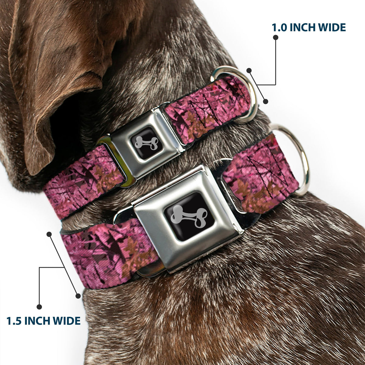 Dog Bone Seatbelt Buckle Collar - Hunting Camo Pinks - Buckle-Down - Flyclothing LLC