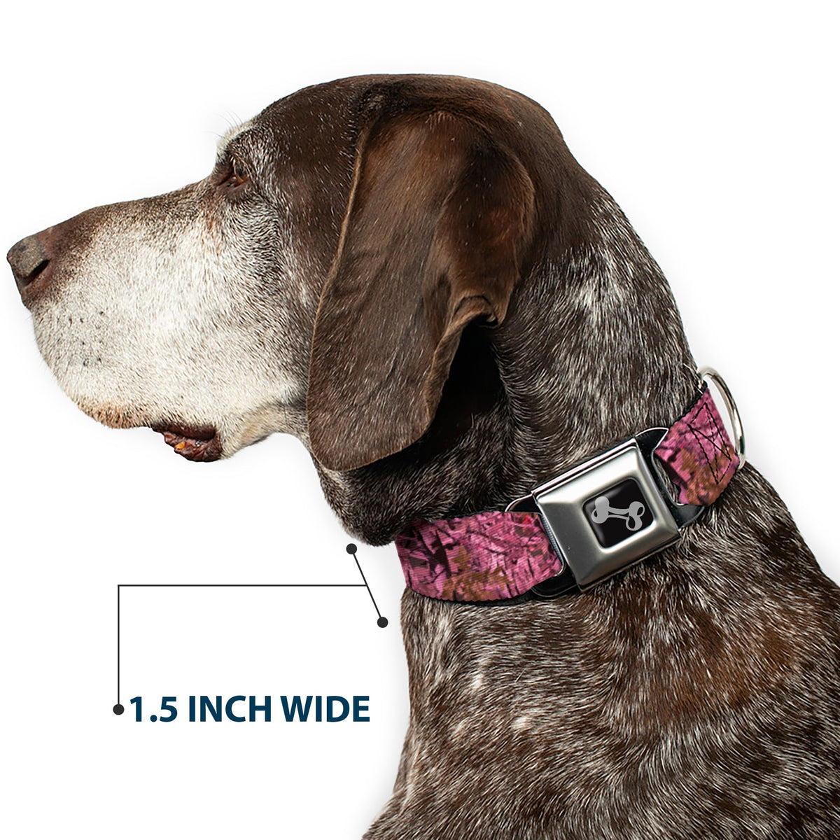 Dog Bone Seatbelt Buckle Collar - Hunting Camo Pinks - Buckle-Down - Flyclothing LLC