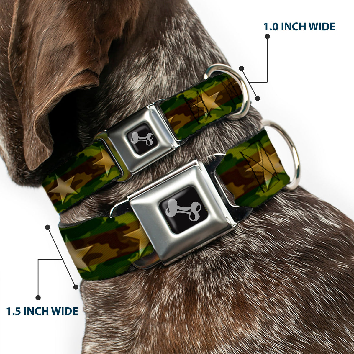 Dog Bone Seatbelt Buckle Collar - Star Camo Olive/Gold
