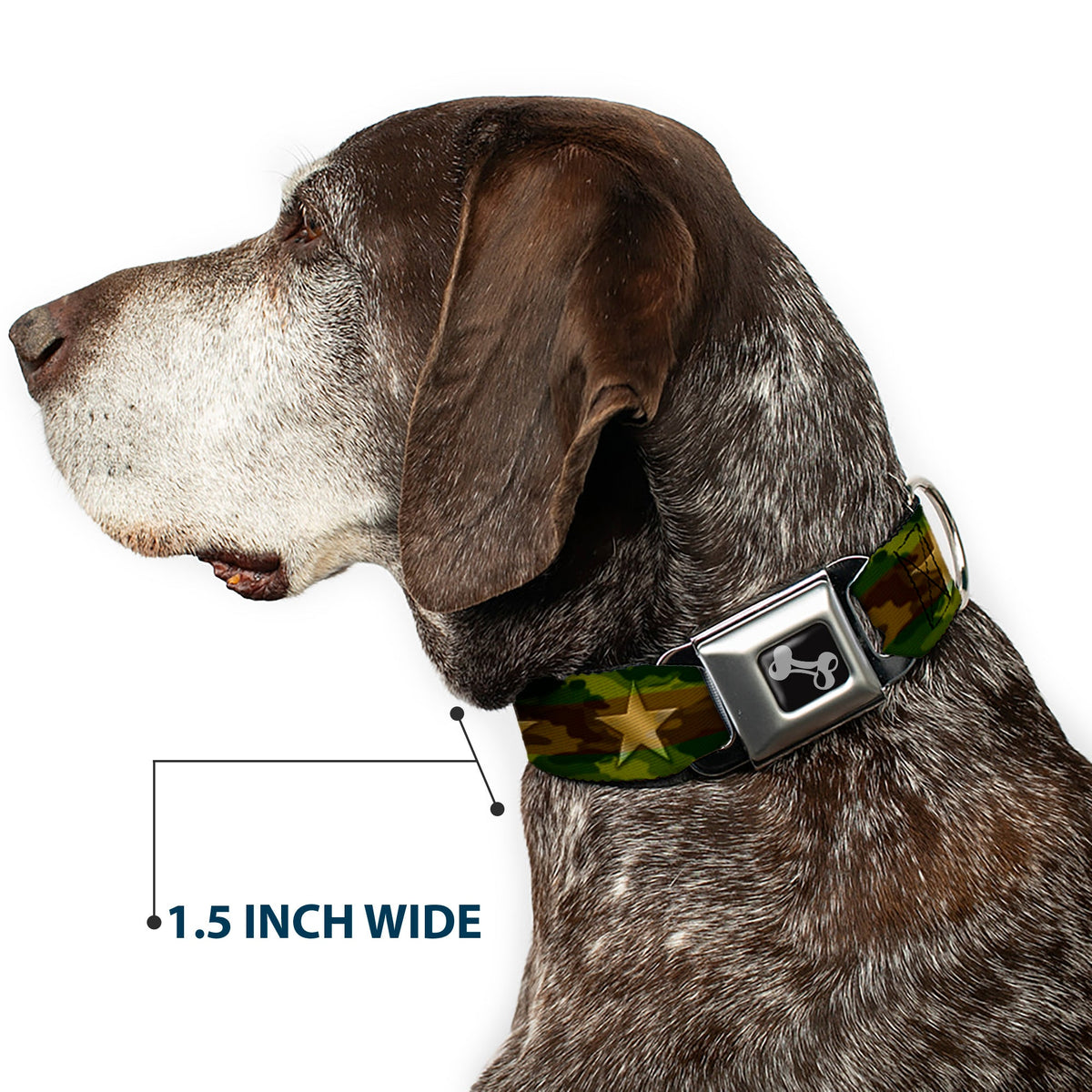 Dog Bone Seatbelt Buckle Collar - Star Camo Olive/Gold