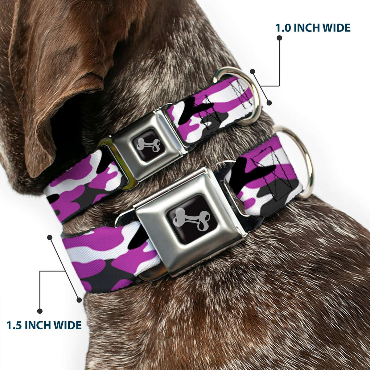 Dog Bone Black/Silver Seatbelt Buckle Collar - Camo Purple/Black/Gray/White - Buckle-Down - Flyclothing LLC