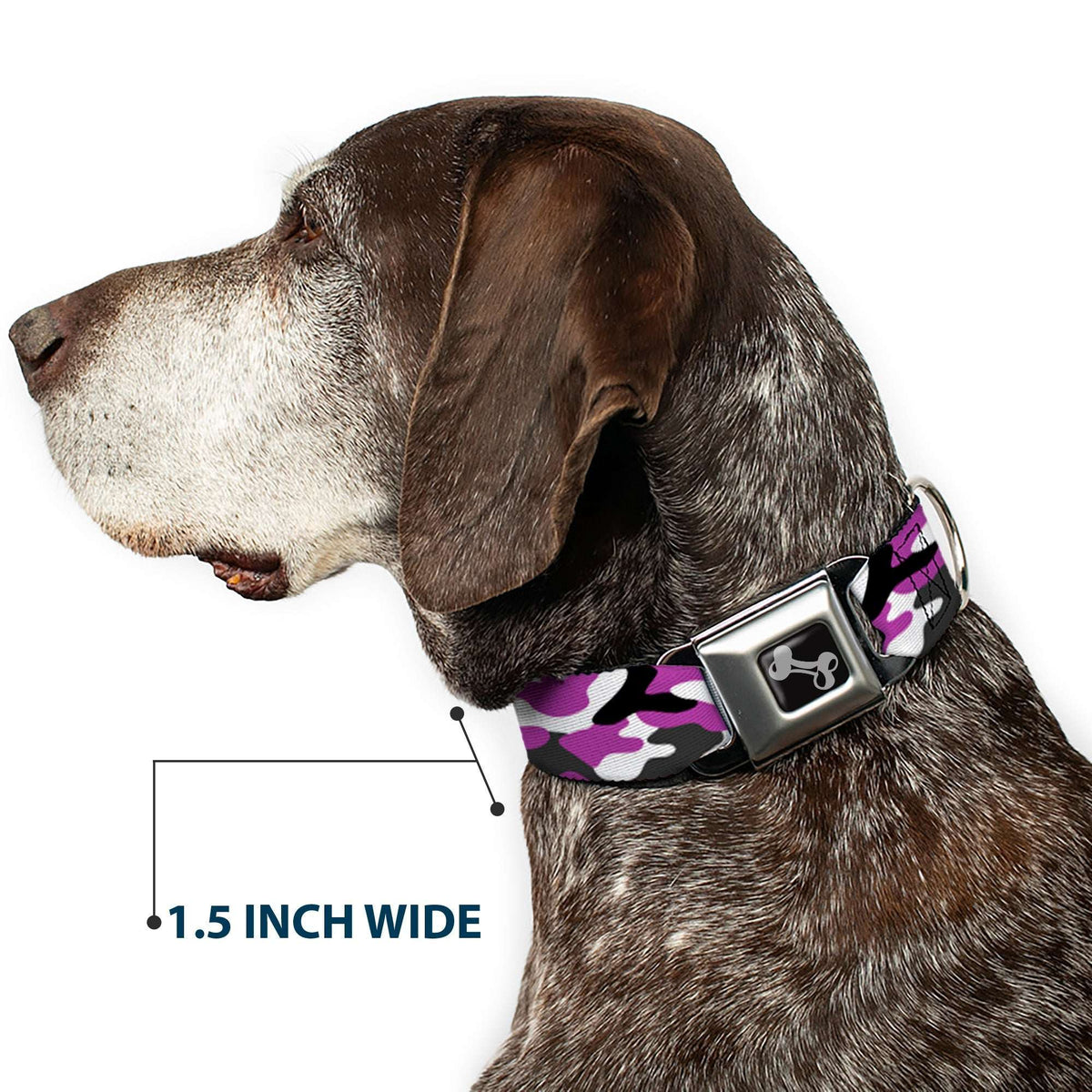 Dog Bone Black/Silver Seatbelt Buckle Collar - Camo Purple/Black/Gray/White - Buckle-Down - Flyclothing LLC