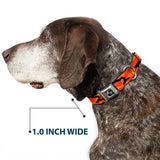Dog Bone Black/Silver Seatbelt Buckle Collar - Camo Oranges/Black