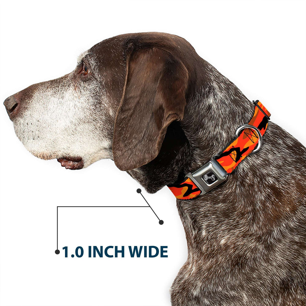 Dog Bone Black/Silver Seatbelt Buckle Collar - Camo Oranges/Black