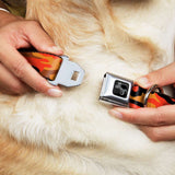 Dog Bone Black/Silver Seatbelt Buckle Collar - Camo Oranges/Black
