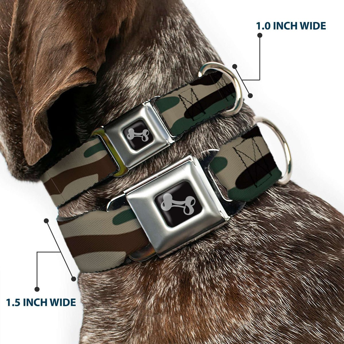 Dog Bone Black/Silver Seatbelt Buckle Collar - Camo Olive3 - Buckle-Down - Flyclothing LLC