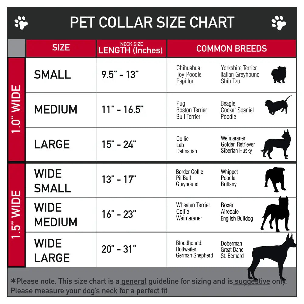 Dog Bone Seatbelt Buckle Collar - Mud Flap Girl Repeat Black/Orange Fade - Buckle-Down - Flyclothing LLC