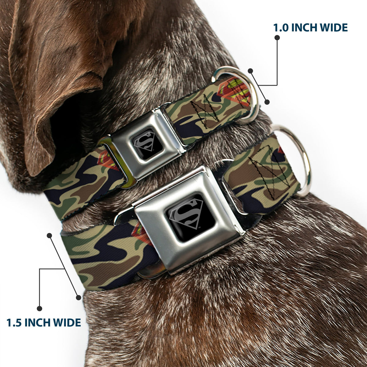 Superman Black Silver Seatbelt Buckle Collar - Superman Shield Camo Olive - Buckle-Down - Flyclothing LLC
