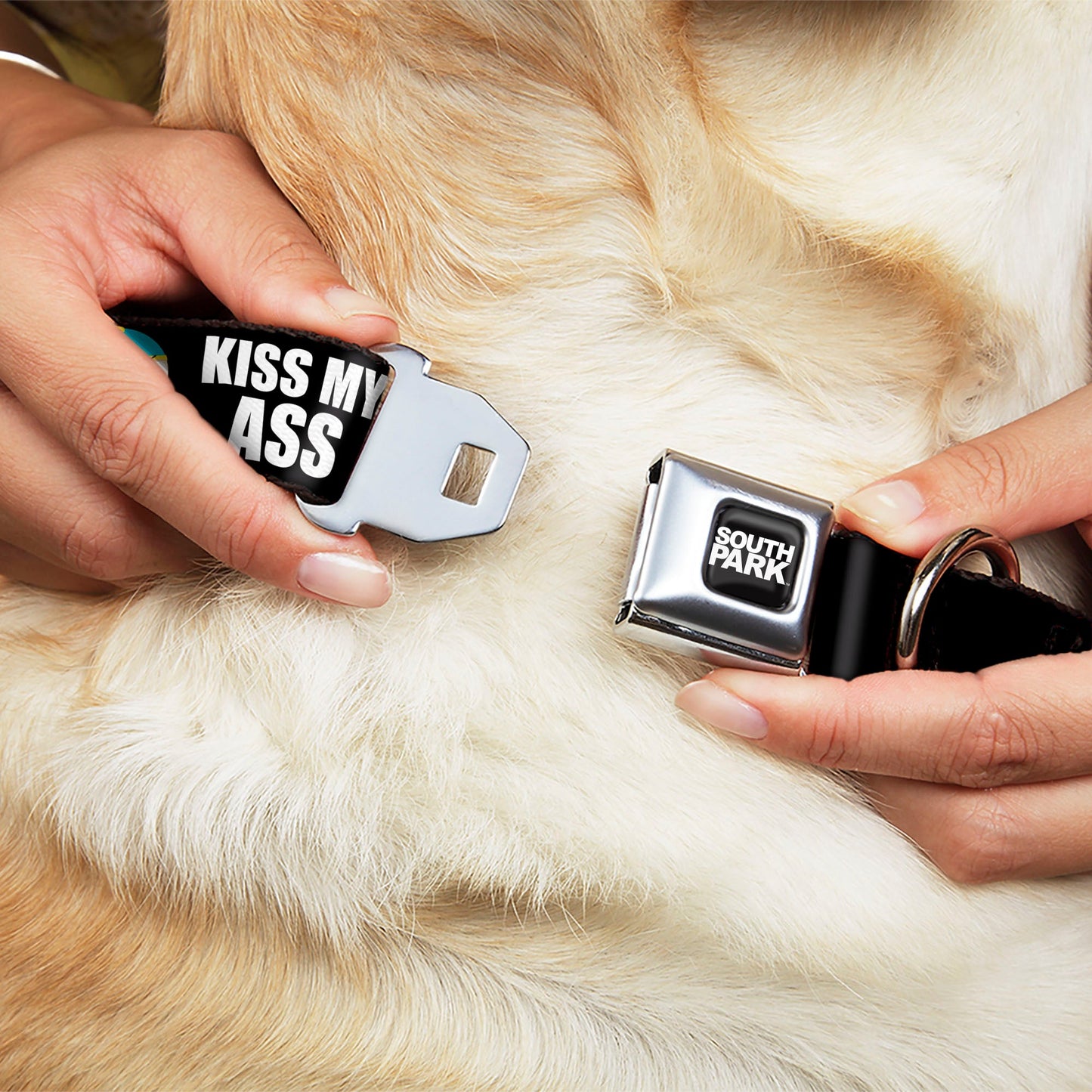 SOUTH PARK Title Logo Full Color Black/White Seatbelt Buckle Collar - South Park Cartman Pants KISS MY ASS Pose Black/White