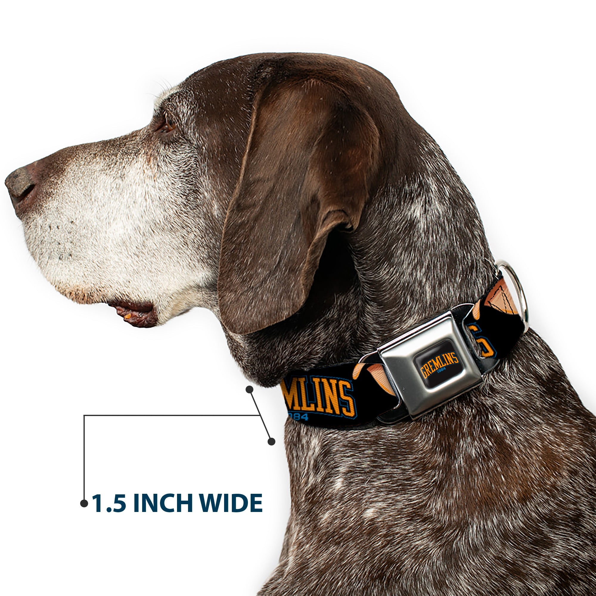 GREMLINS 1984 Title Logo Full Color Black/Blue/Orange Seatbelt Buckle Collar - GREMLINS 1984 Gizmo Face Close-Up Black