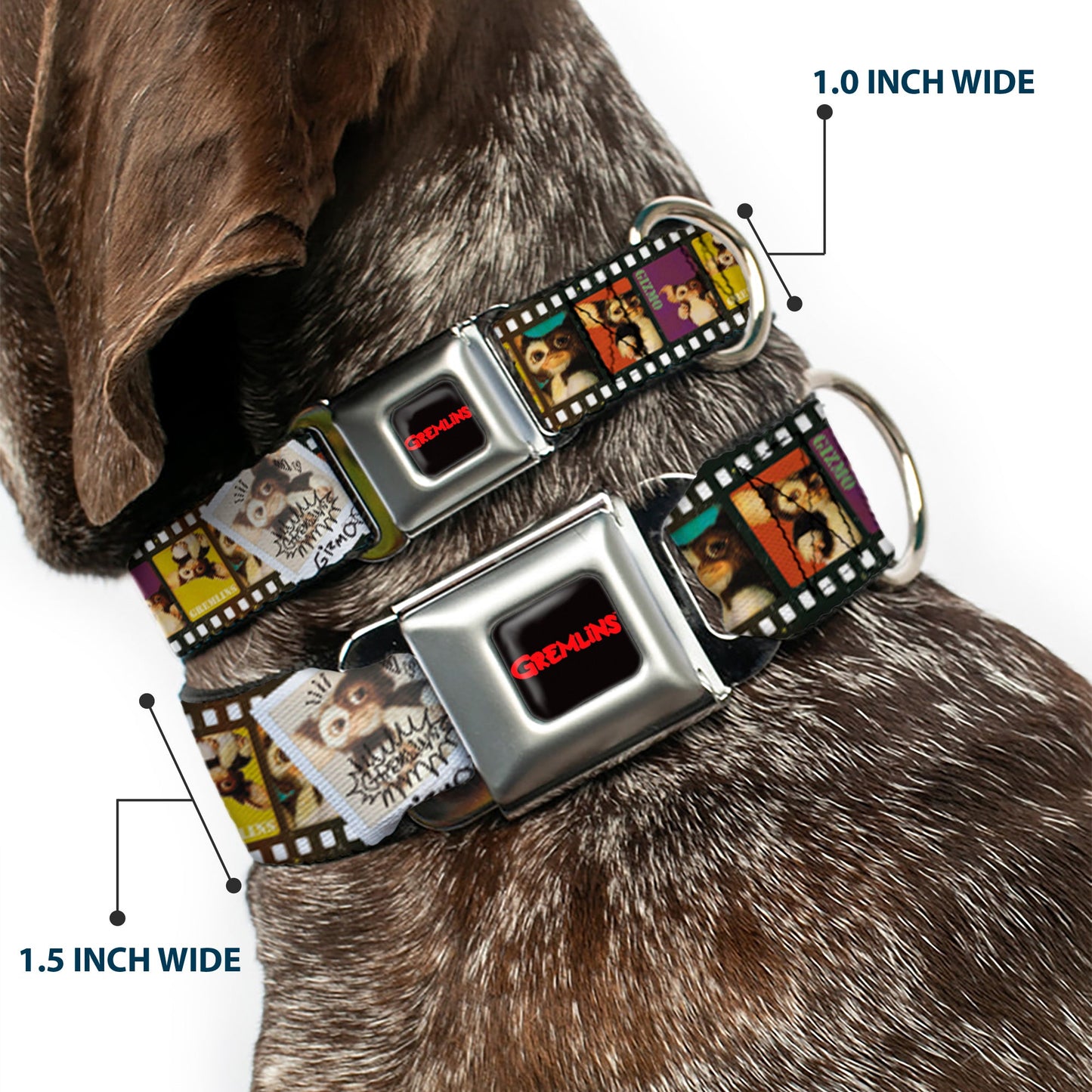 GREMLINS Text Logo Full Color Black/Red Seatbelt Buckle Collar - Gremlins Gizmo Filmstrip Poses Multi Color