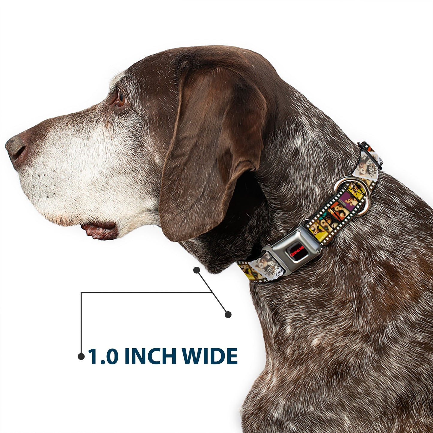 GREMLINS Text Logo Full Color Black/Red Seatbelt Buckle Collar - Gremlins Gizmo Filmstrip Poses Multi Color