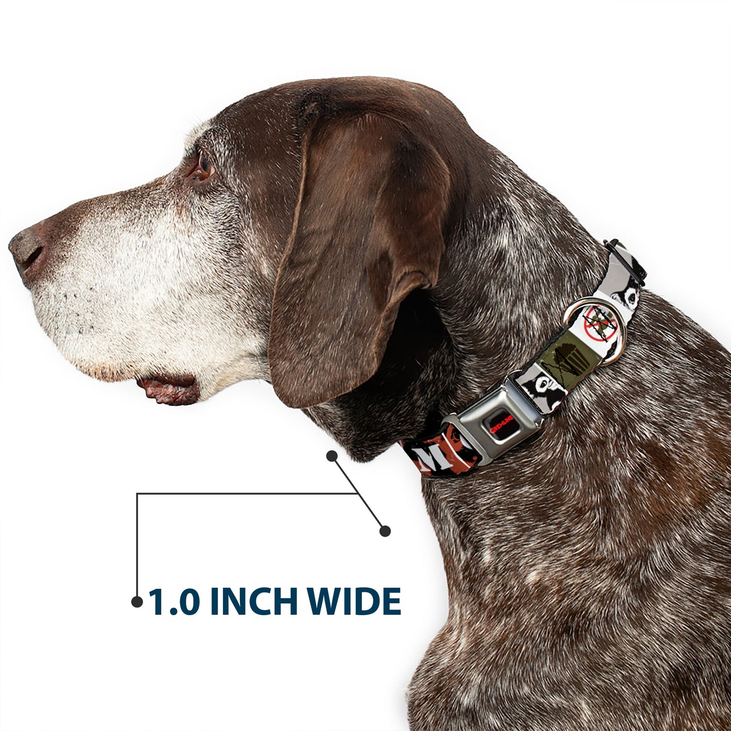 GREMLINS Text Logo Full Color Black/Red Seatbelt Buckle Collar - Gremlins GIZMO Poses/Rules Blocks Red/Greens/Grays/White