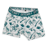 Outlaw Boxer Brief | 2 Pack - DIRTY COWBOY USA - Flyclothing LLC