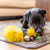 Astrid - West Paw - Flyclothing LLC