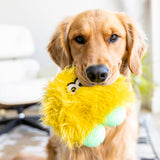 Rolf - West Paw - Flyclothing LLC