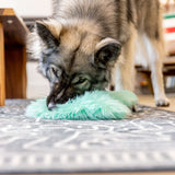 Bjorn - West Paw - Flyclothing LLC