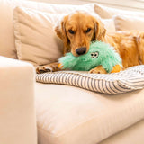 Bjorn - West Paw - Flyclothing LLC
