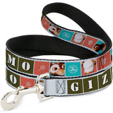 Dog Leash - Gremlins GIZMO Text and Pose Blocks White/Multi Color
