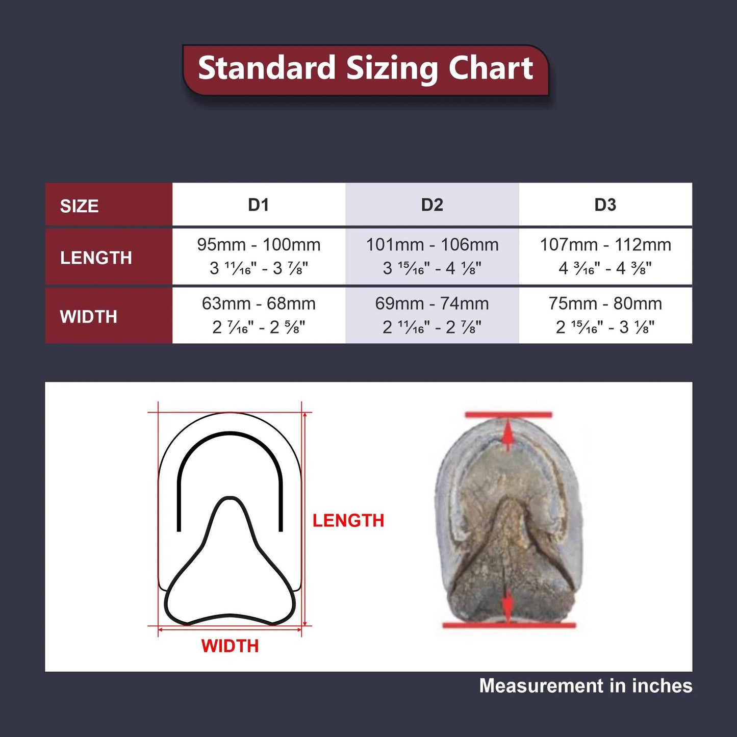 Cavallo Long Ear Donkey Slim Fit Boot - Breeches.com - Flyclothing LLC
