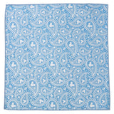 Disney Mickey Mouse Teal Paisley Necktie and Pocket Square Gift Set