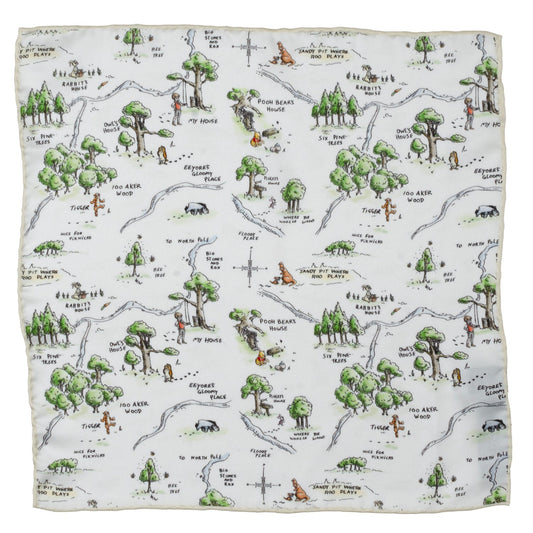 Disney Winnie the Pooh Map Pocket Square
