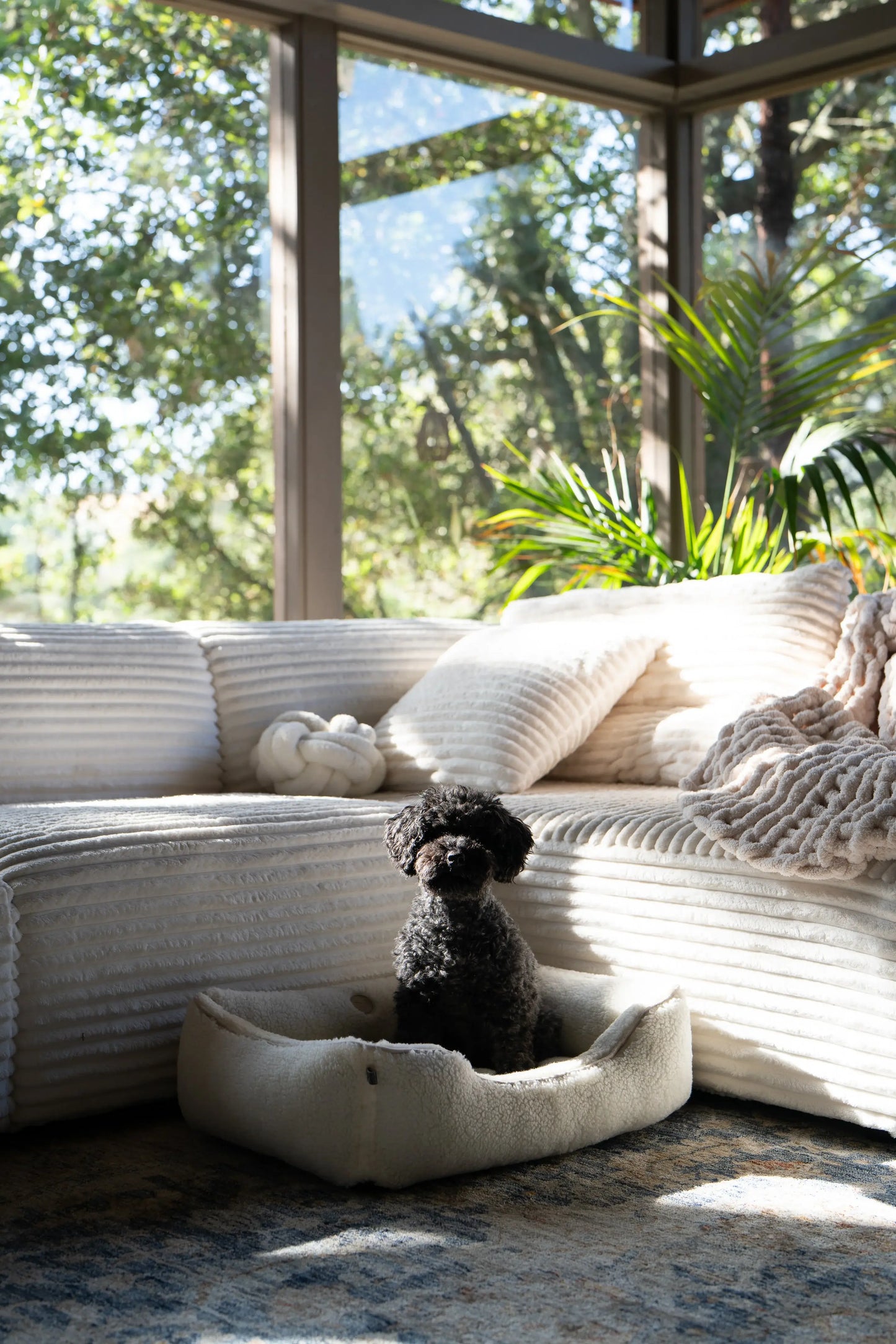Chester & Lee | Furry Sleeper Dog Bed Beige - Chester & Lee - Flyclothing LLC