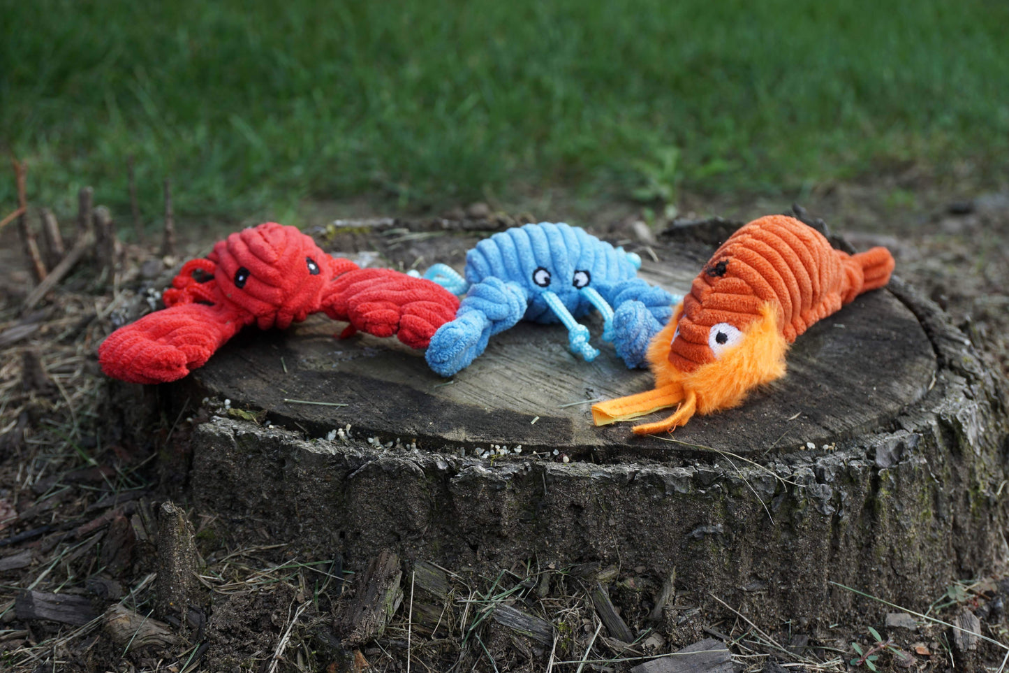 Raw Bar Wee Huggles® Plush Dog Toys, 3 pack - HuggleHounds - Flyclothing LLC