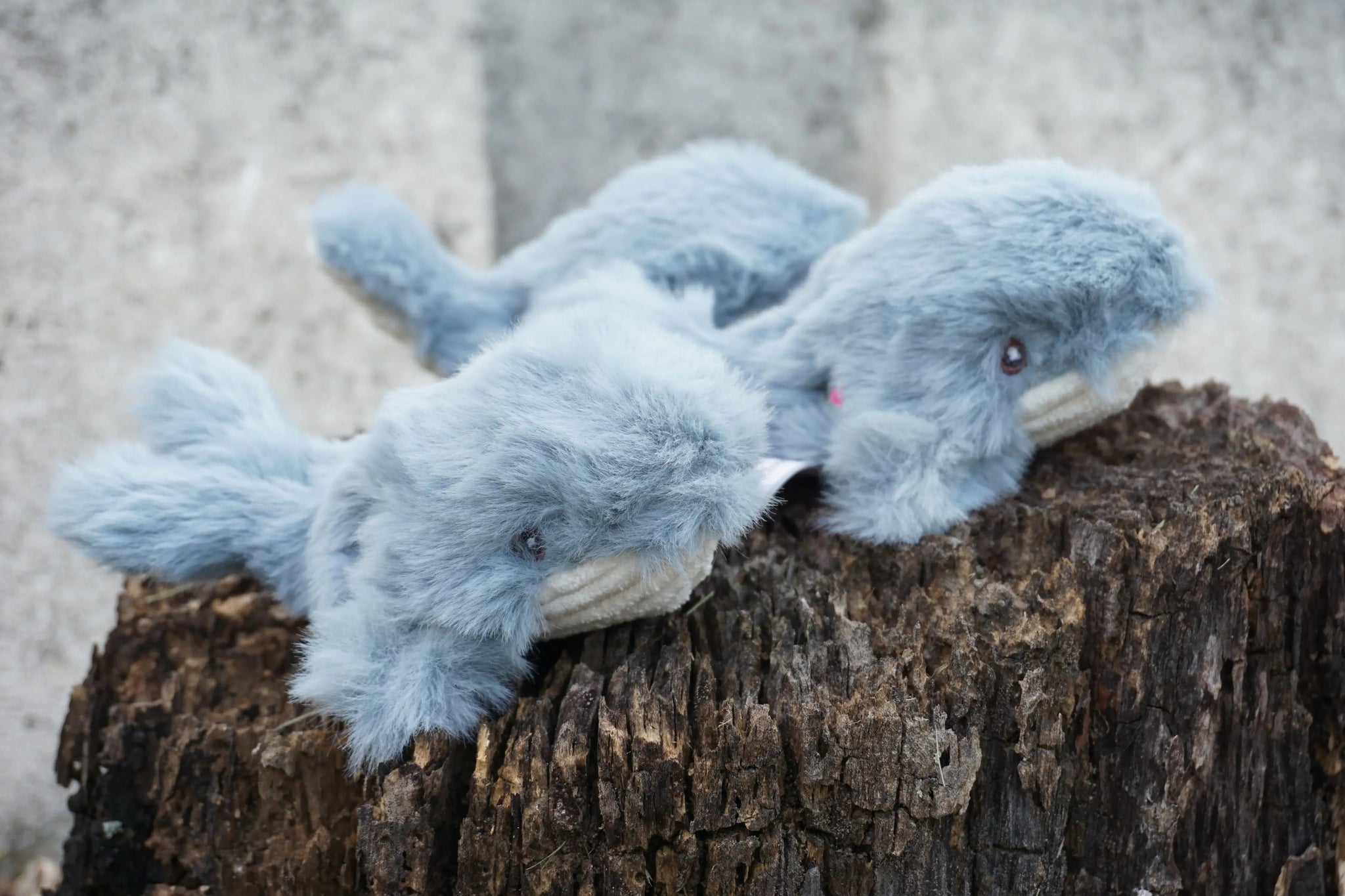 Mobie Whale Wee Huggles® Plush Dog Toys, 3 Pack - HuggleHounds - Flyclothing LLC