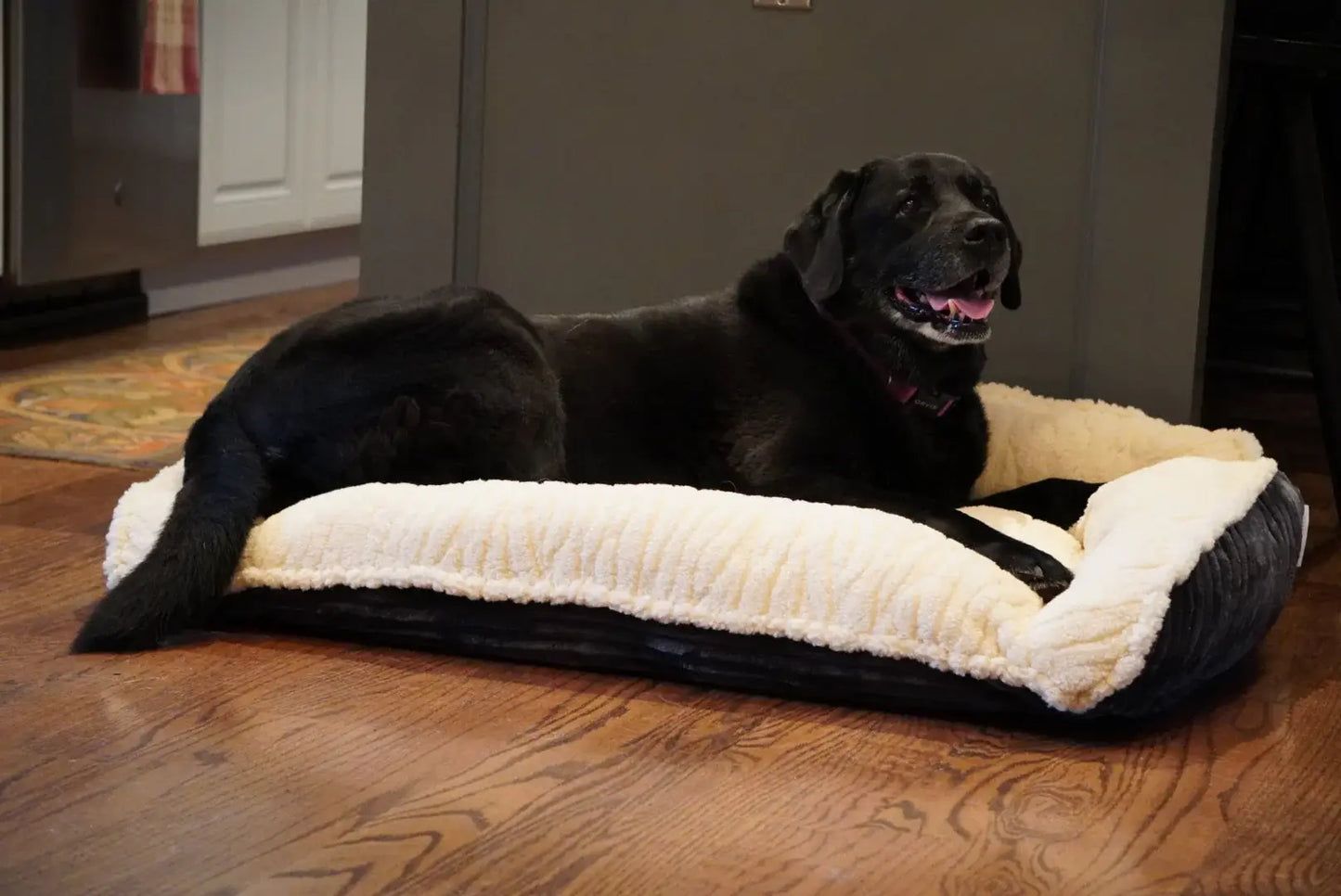 Scout Perfect Bolster Dog Bed - HuggleHounds - Flyclothing LLC