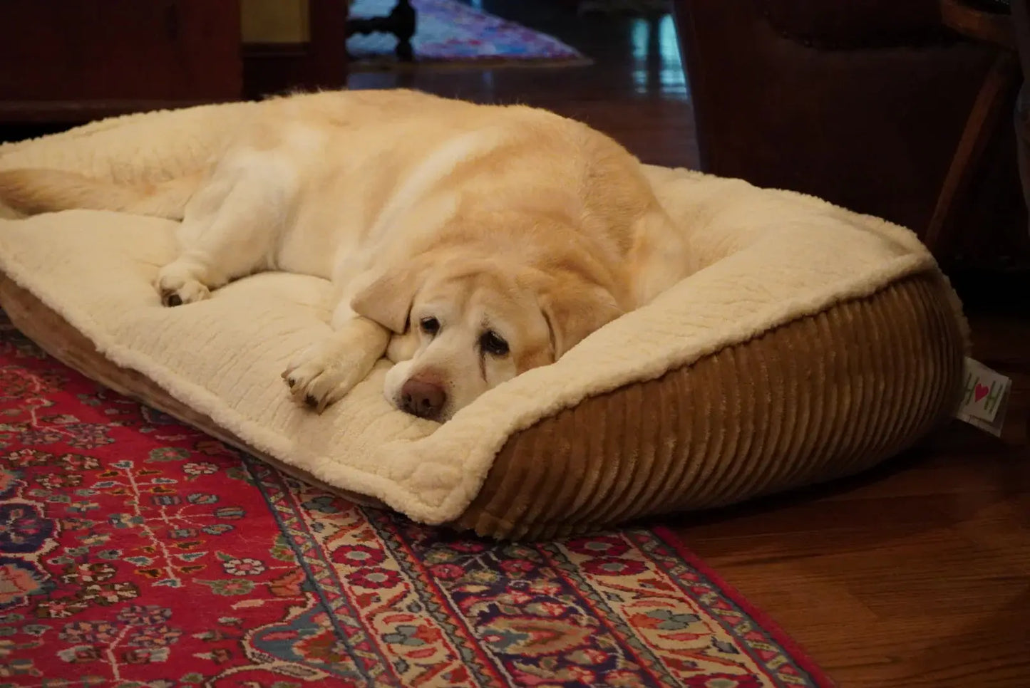 Scout Perfect Bolster Dog Bed - HuggleHounds - Flyclothing LLC