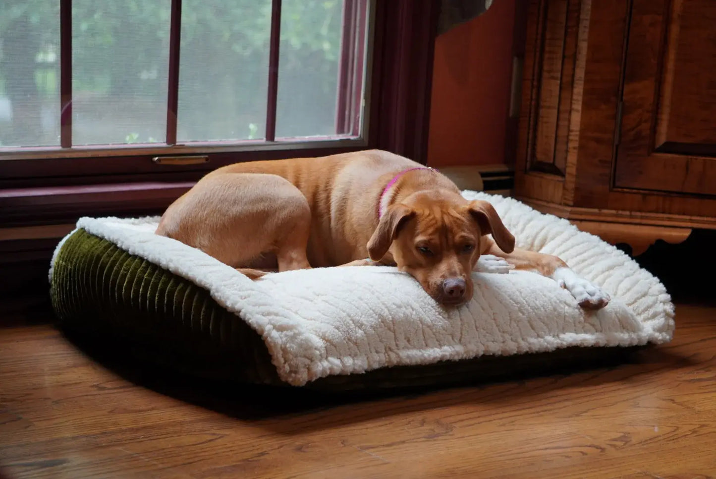 Scout Perfect Bolster Dog Bed - HuggleHounds - Flyclothing LLC