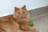 HuggleKats® PlayKat® Interactive Cat Toy - HuggleHounds - Flyclothing LLC