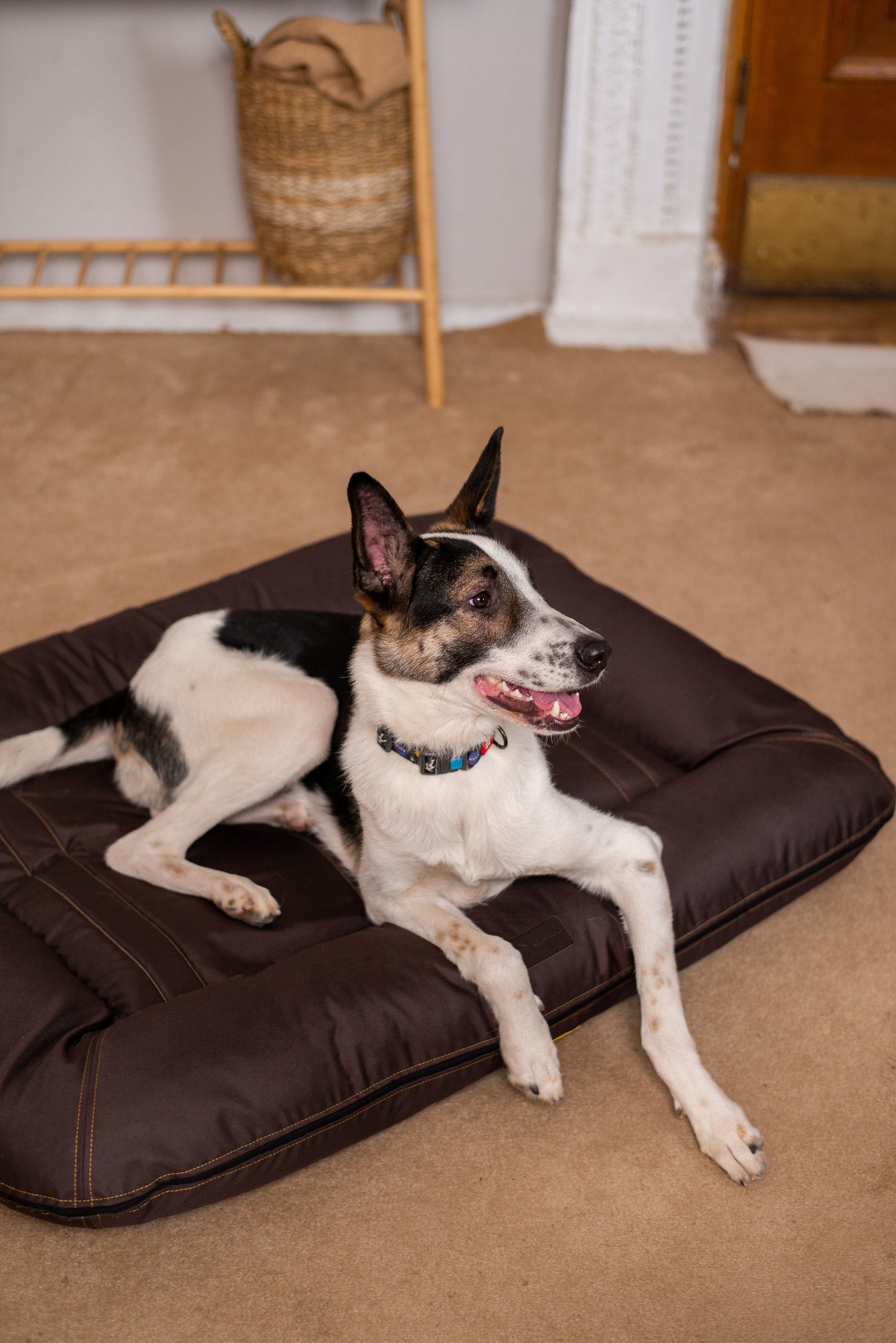 Chester & Lee | Waterproof Lounger Dog Bed Brown - Chester & Lee - Flyclothing LLC