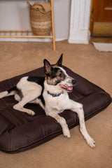 Chester & Lee | Waterproof Lounger Dog Bed Brown - Chester & Lee - Flyclothing LLC