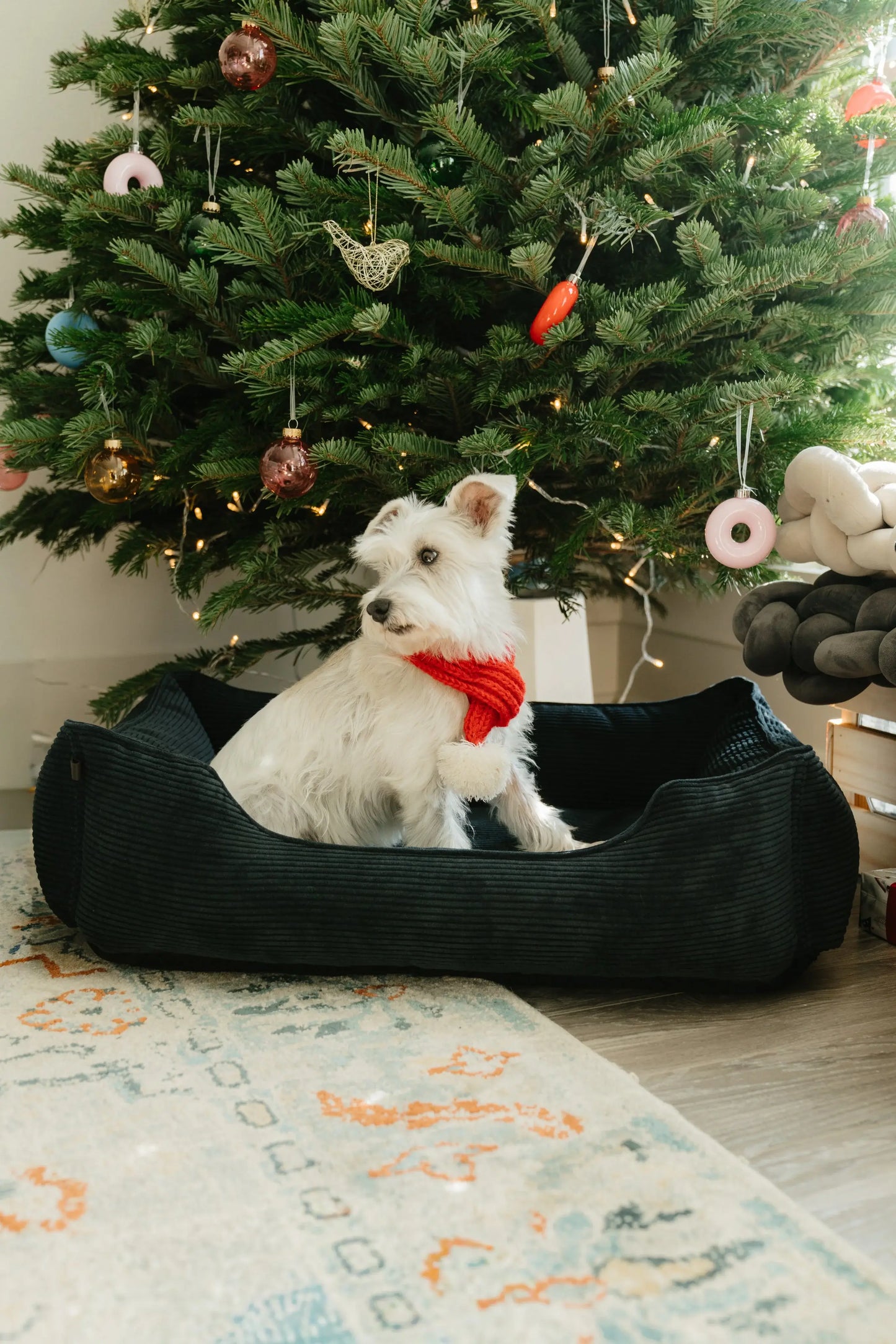Chester & Lee | Fancy Corduroy Sleeper Dog Bed Graphite - Chester & Lee - Flyclothing LLC