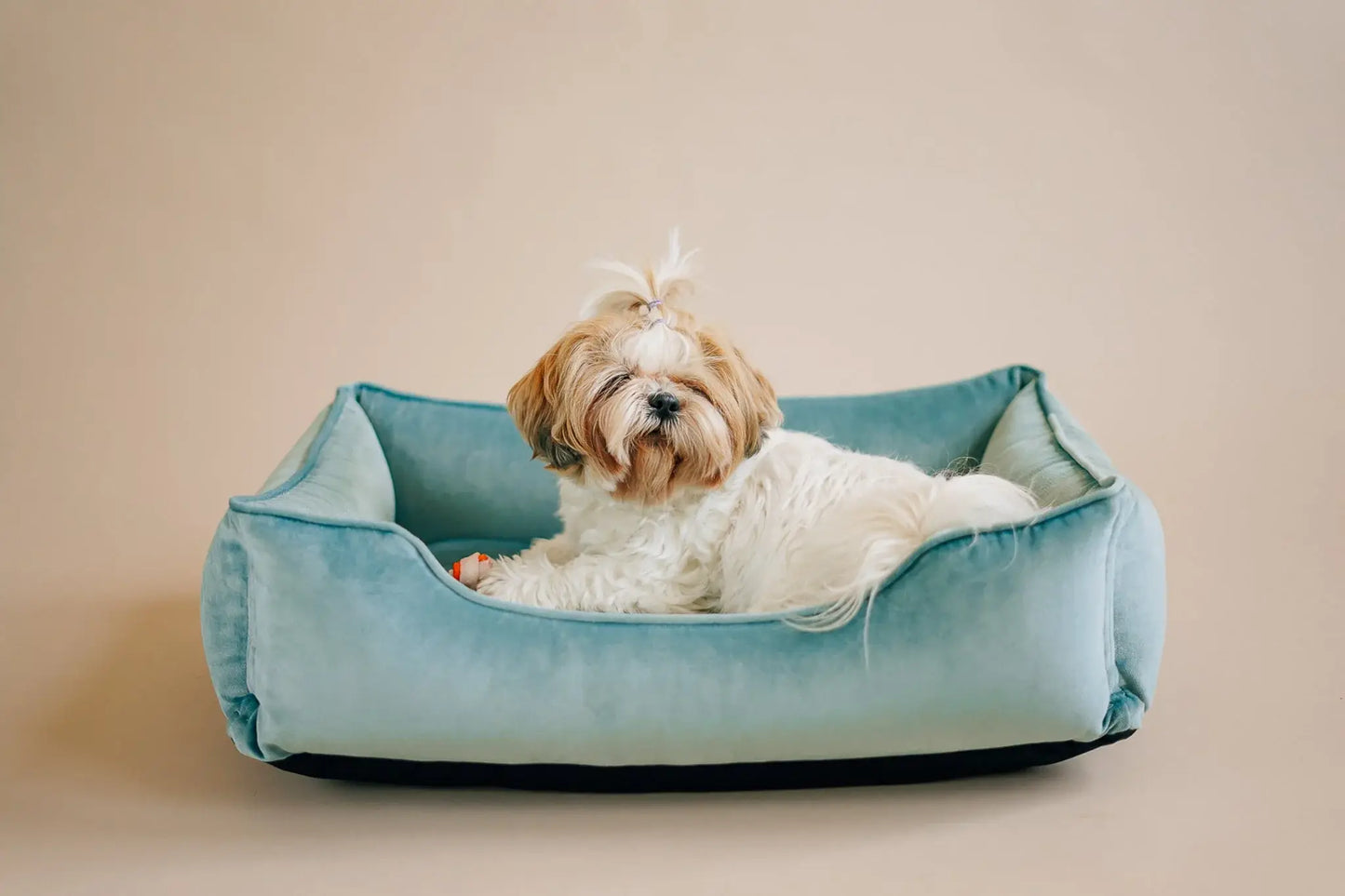 Chester & Lee | Vibrant Velvet Sleeper Dog Bed Tiffany - Chester & Lee - Flyclothing LLC