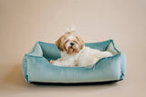 Chester & Lee | Vibrant Velvet Sleeper Dog Bed Tiffany - Chester & Lee - Flyclothing LLC