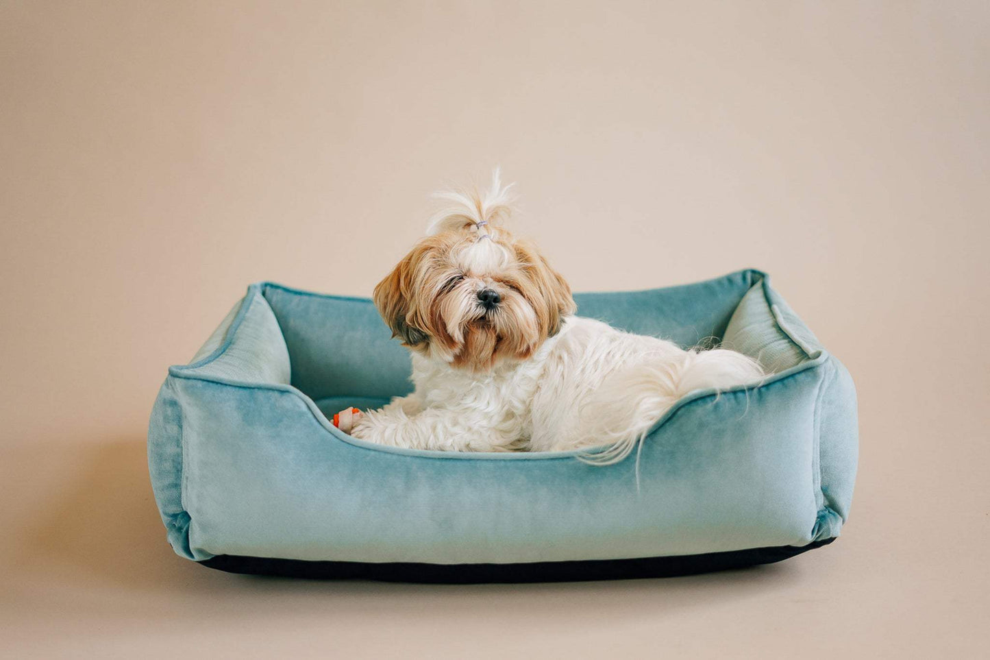 Chester & Lee | Vibrant Velvet Sleeper Dog Bed Tiffany - Chester & Lee - Flyclothing LLC