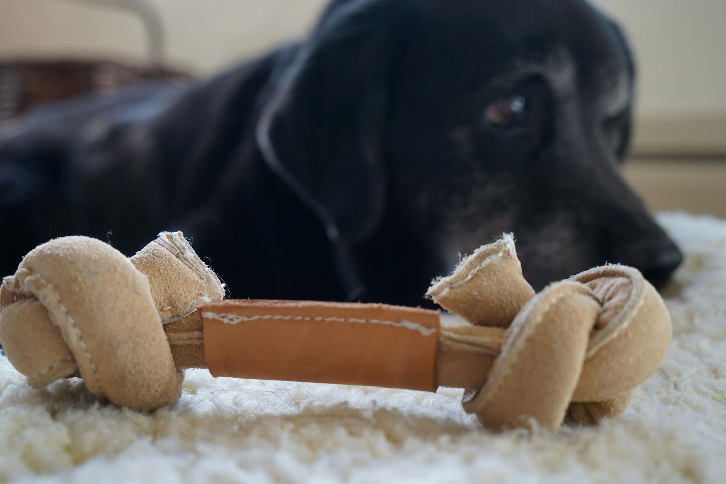 Huggle-Hide® Natural Leather Bone Dog Toy, 3 Pack - HuggleHounds - Flyclothing LLC