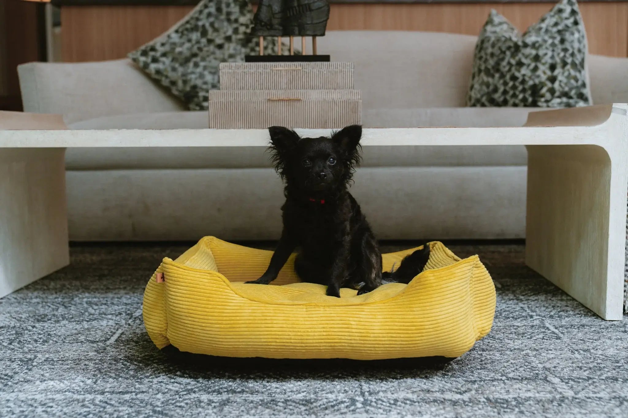 Chester & Lee | Fancy Corduroy Sleeper Dog Bed Sunny Yellow - Chester & Lee - Flyclothing LLC